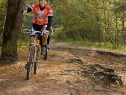 spr_vtt_oktober_2010_28_20151230_1680140073