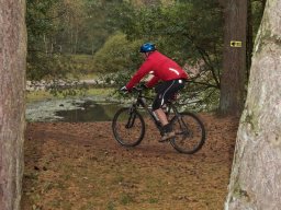 spr_vtt_inrichting_oktober_2011_12_20160118_1218808266