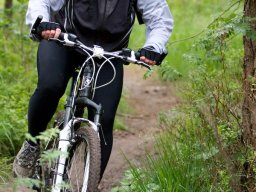 paris-roubaix_10_20160131_1719394543