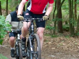 paris-roubaix_20_20160131_1074073113