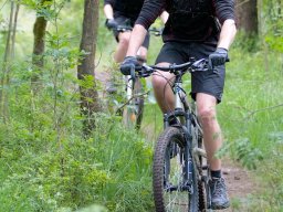 paris-roubaix_7_20160131_1754752466