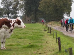 sfeerbeelden_vtt_oktober_13_20160131_1482157161