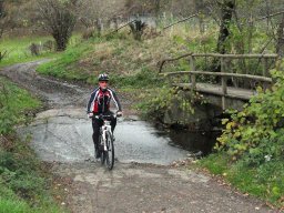 In action: Ardennen 2014