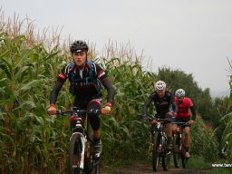 Publiek &raquo; Tourtochten / Cyclos &raquo; 22ste Hagelandse Heuvels mountainbike